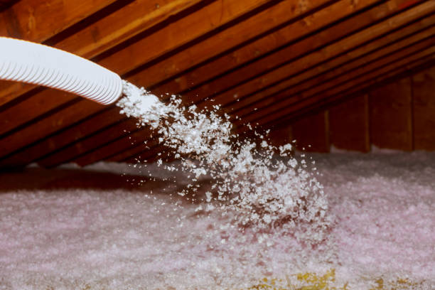 Best Crawl Space Insulation  in Woodlyn, PA