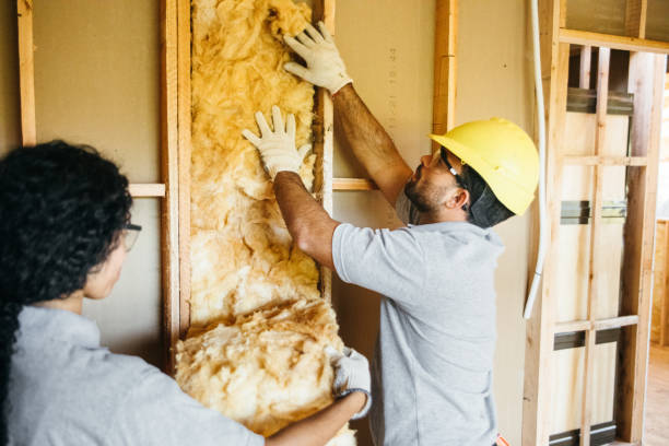 Best Attic Insulation Installation  in Woodlyn, PA