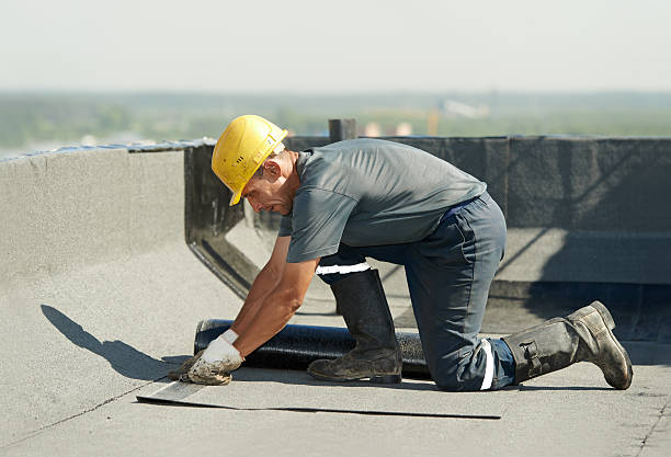 Best Crawl Space Insulation  in Woodlyn, PA