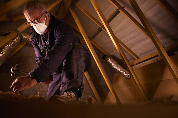 Best Insulation Contractor Near Me  in Woodlyn, PA