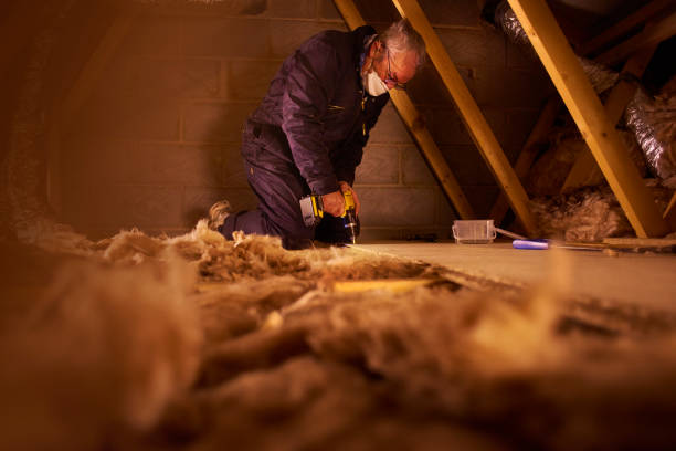 Best Cellulose Insulation  in Woodlyn, PA
