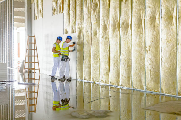 Best Professional Insulation Contractor  in Woodlyn, PA